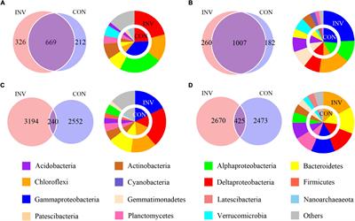 Divergent Temporal Response of Abundant and Rare Bacterial Communities to Transient Escherichia coli O157:H7 Invasion